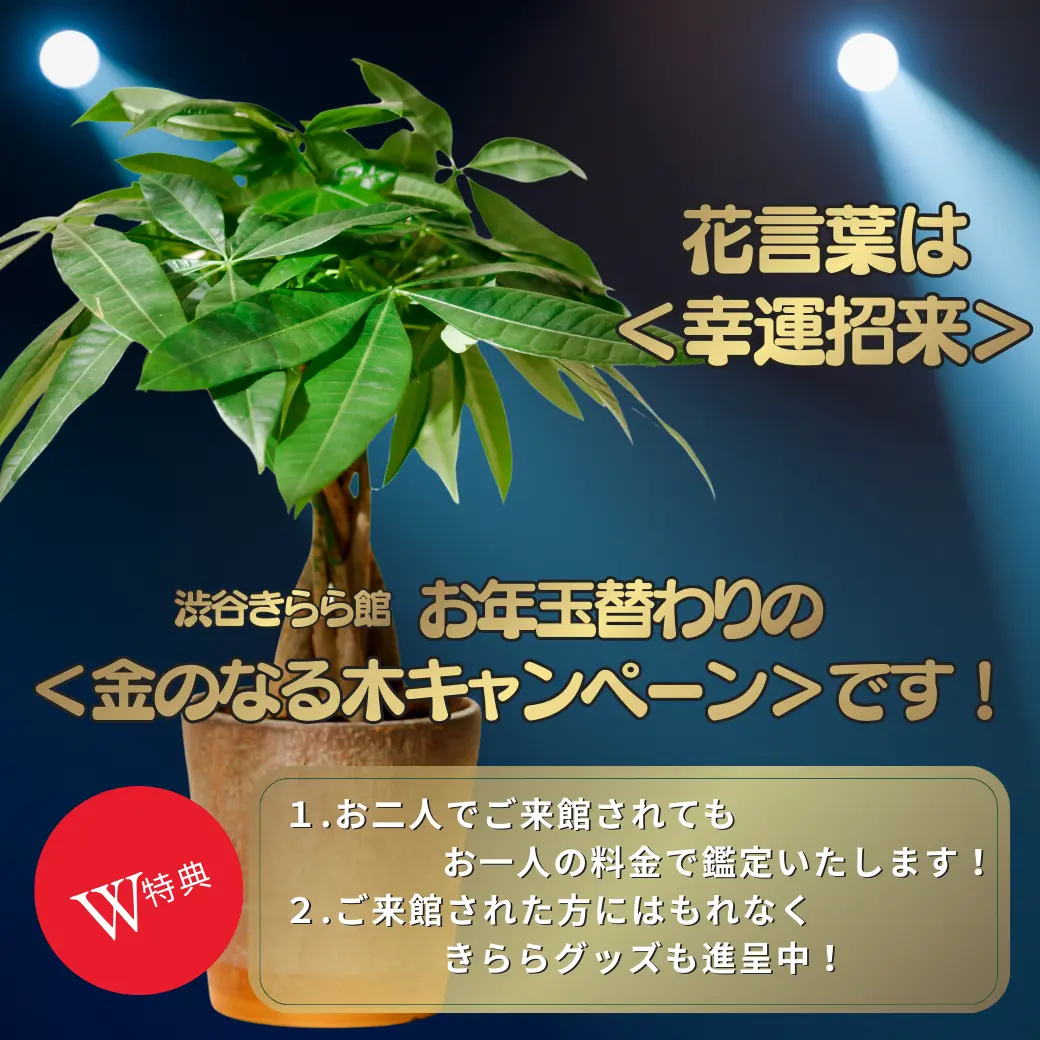 金のなる木キャンペーン