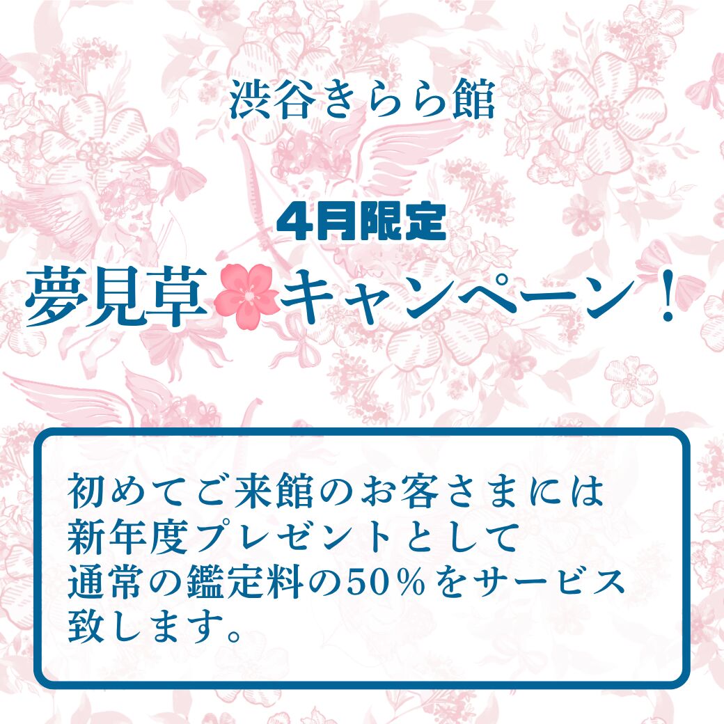 夢見草キャンペーン